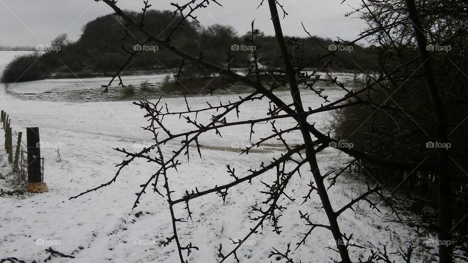 Countryside Snow