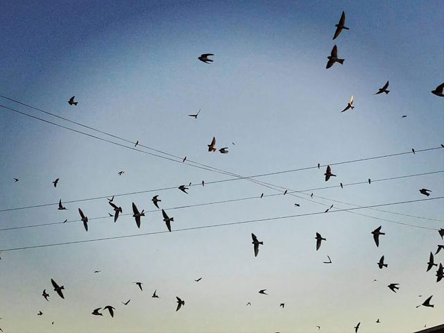 photo of the week