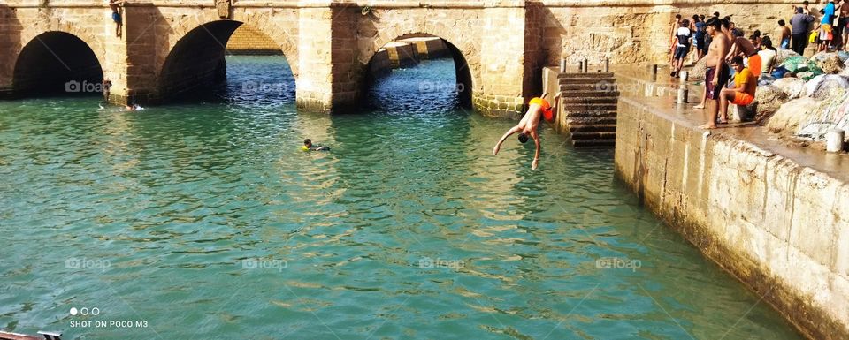 splendid jump into water at essaouira Harbour in Morocco.