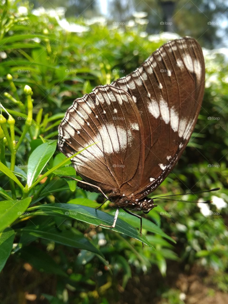 Editors'Choice: Photo Of The Week