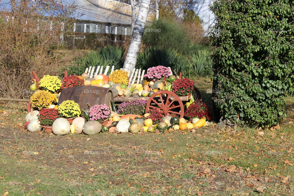 pumpkin outdoor ornaments