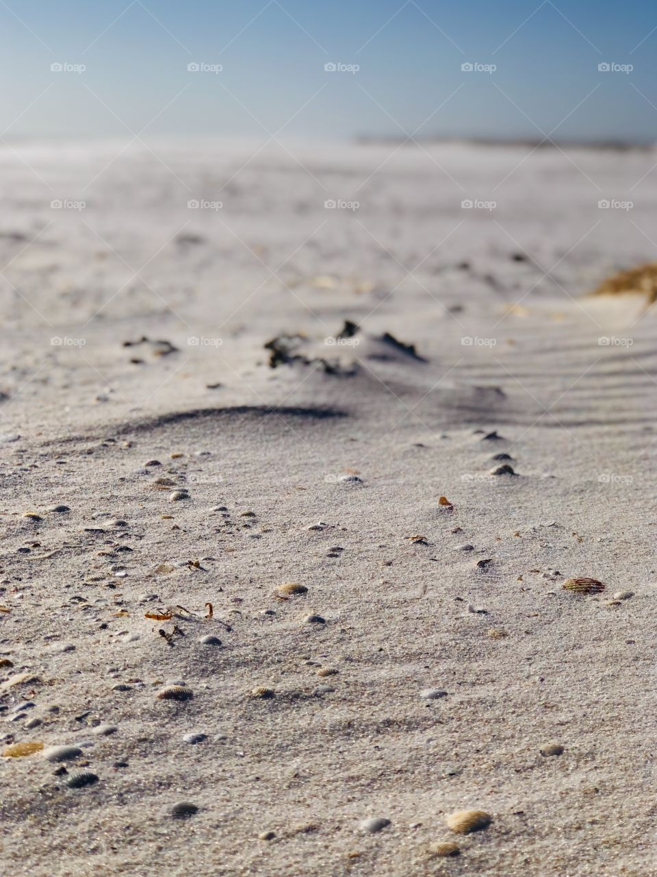 Surface level closeup sandy beach texture