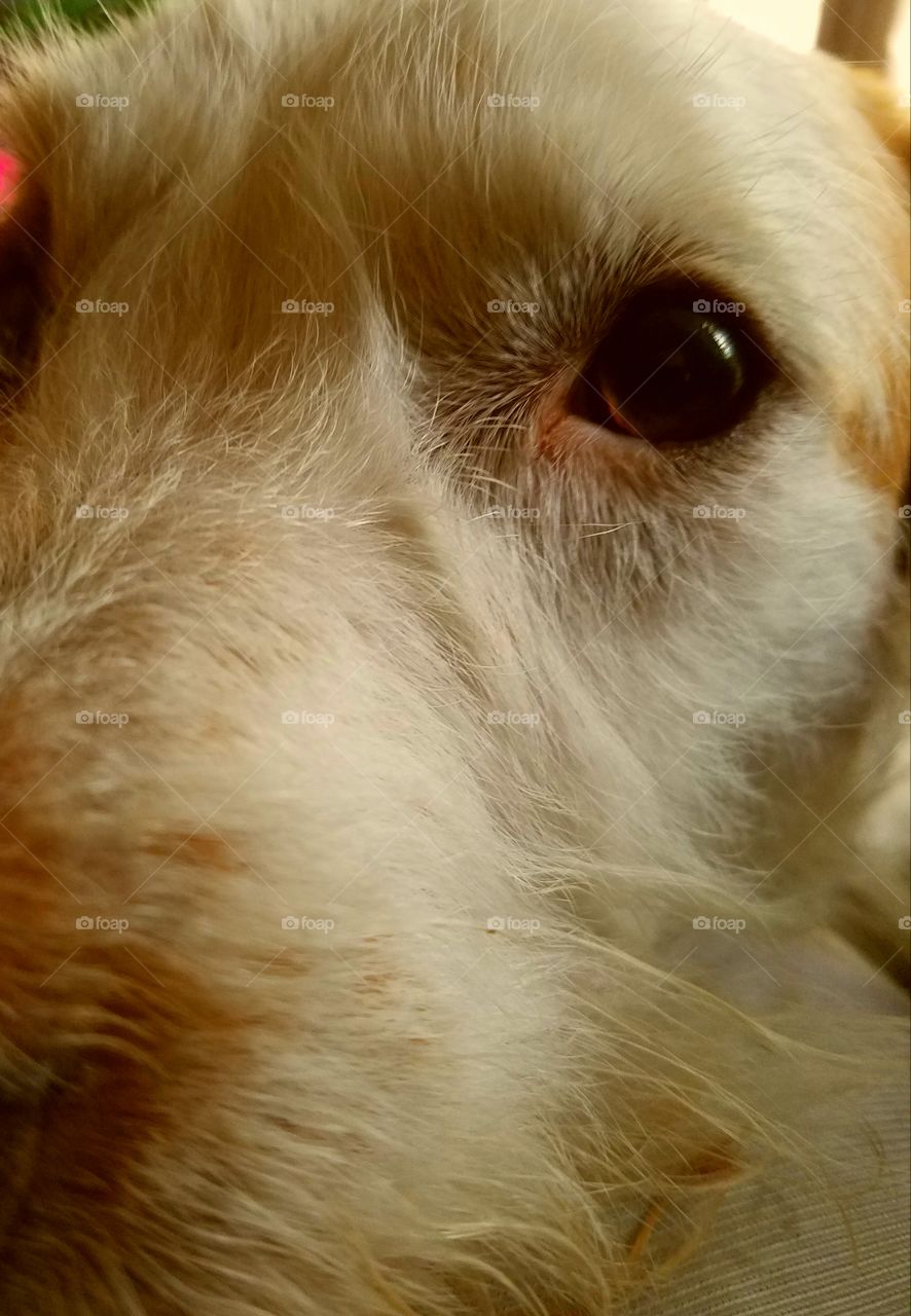 He must be thinking, get that camera out of my face or what is he doing...