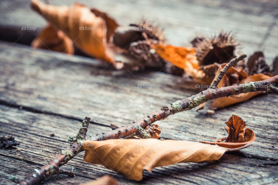 Autumn Dry Leaves On Aged Wooden Table
