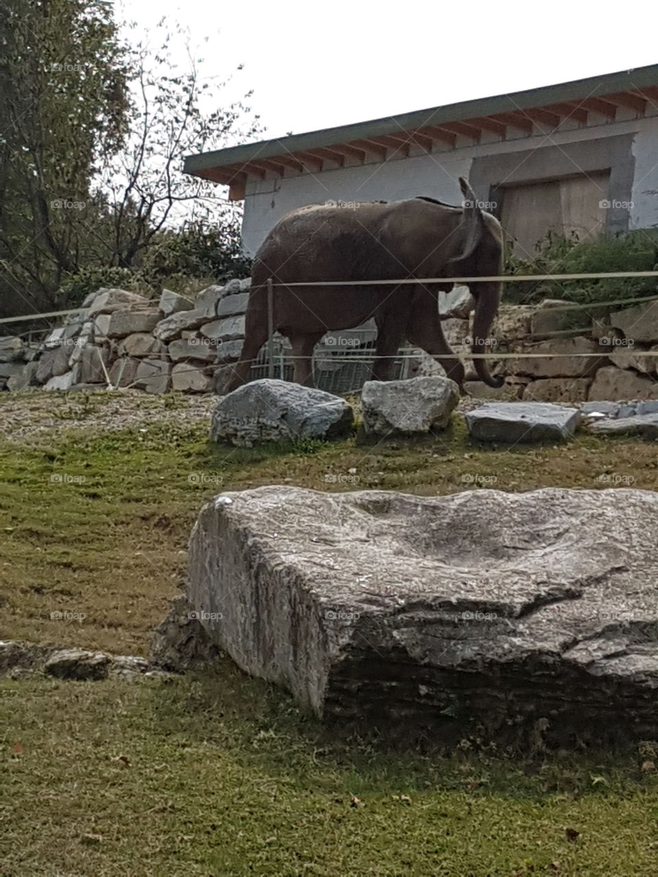 Safari park , Varese, IT