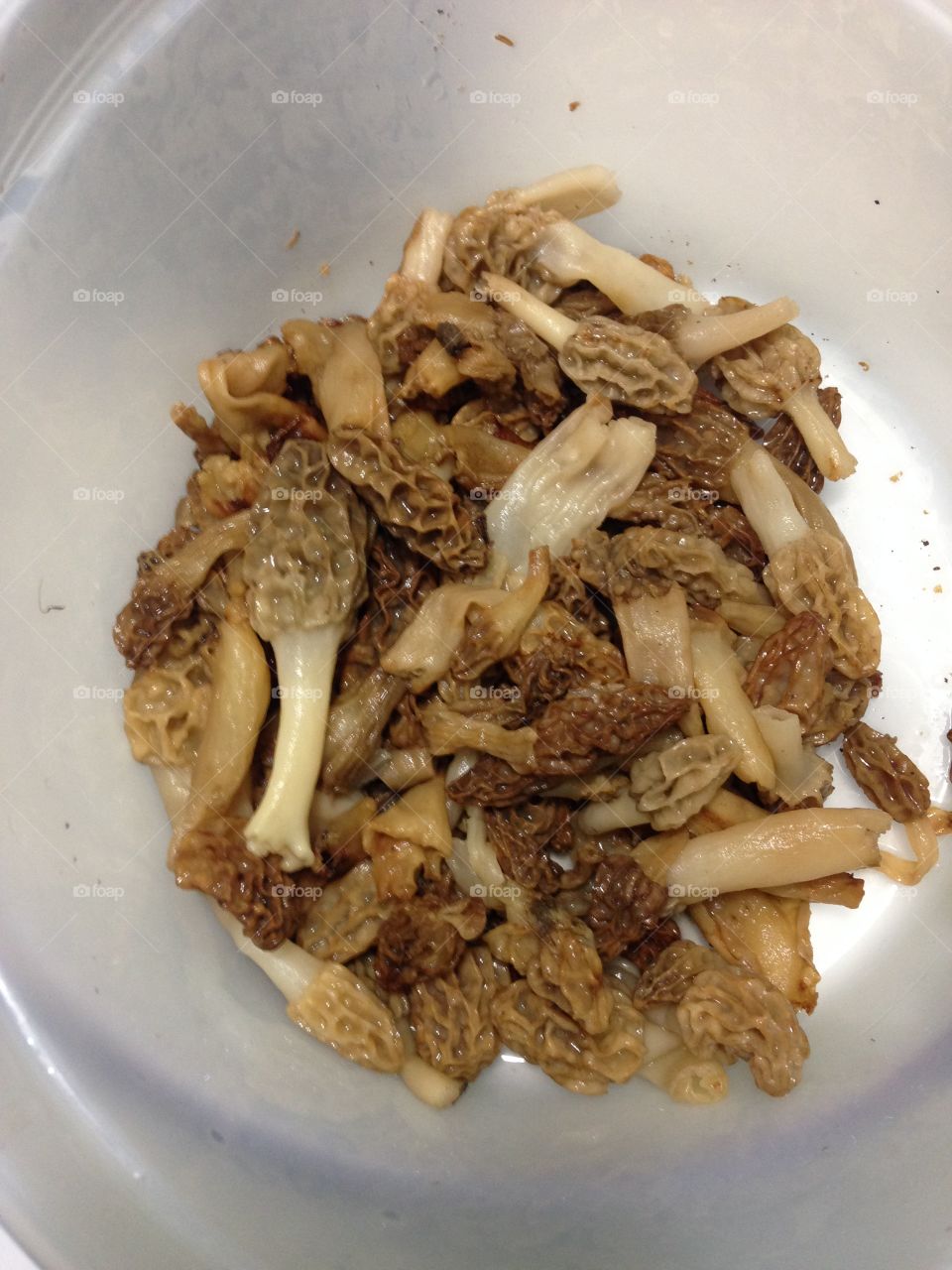 Morel mushrooms . A bag of yellow morel mushrooms from spring 2015