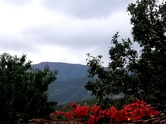 nature