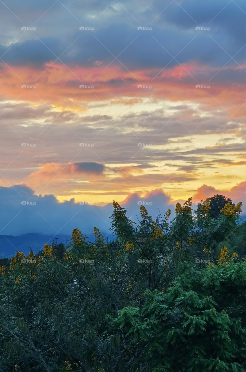 Sunset from a clear view over a house, flowers around, partially cloudy, diverse vegetation palms and trees