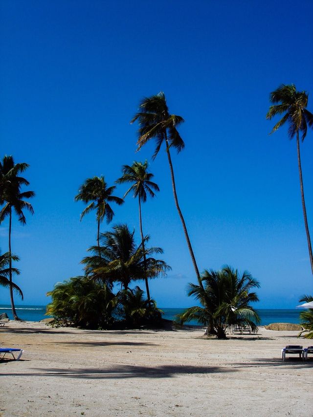 Puerto Rico beach