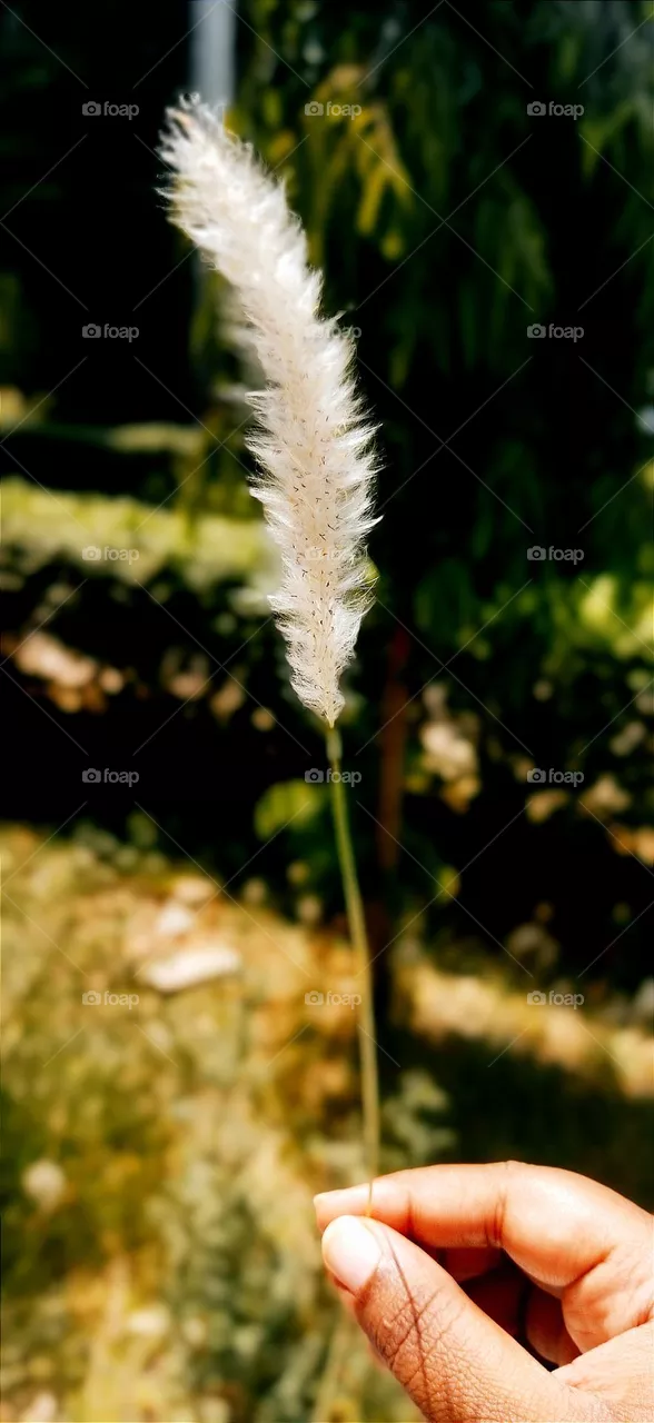 💮