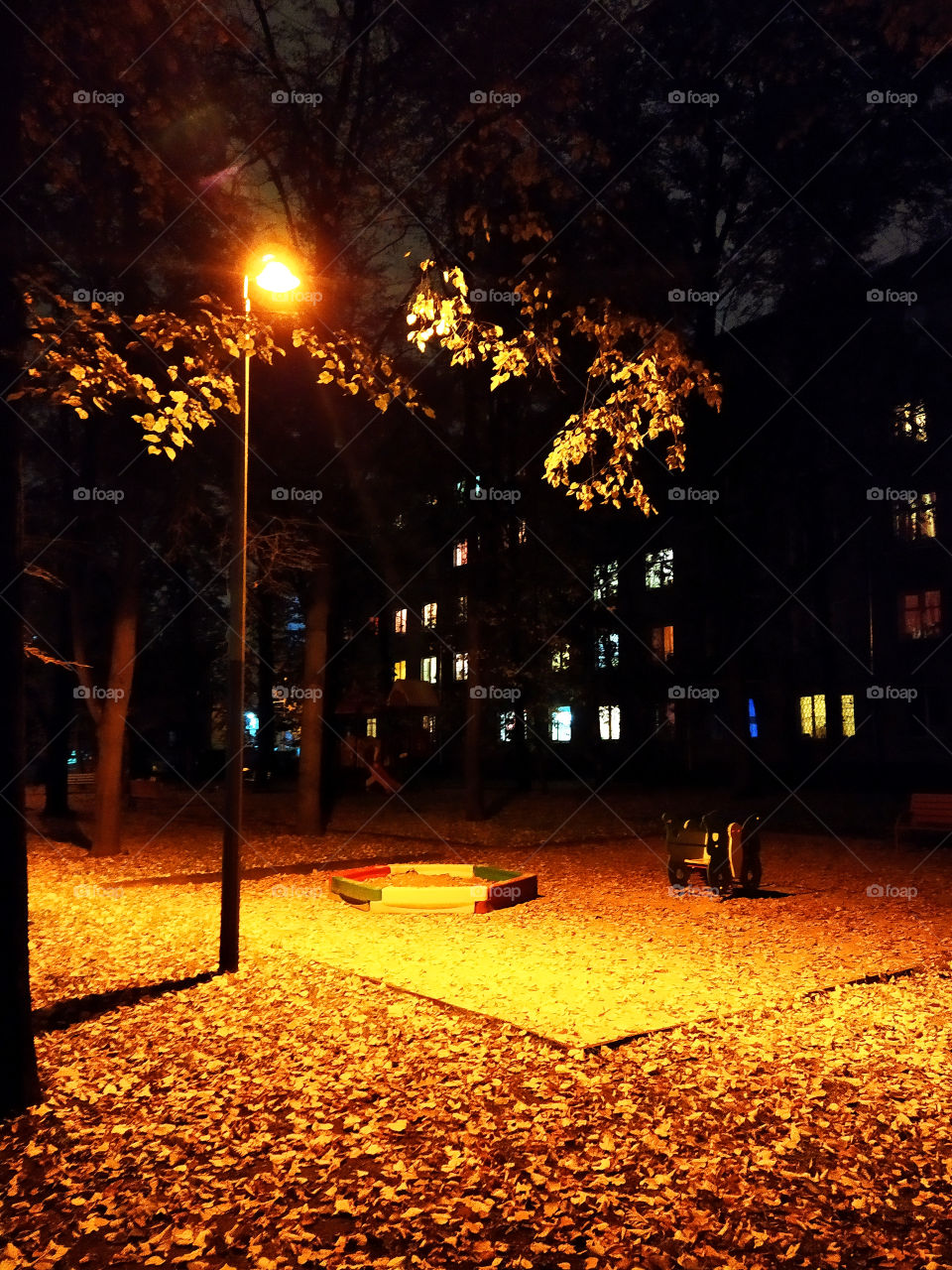 Autumn courtyard at night