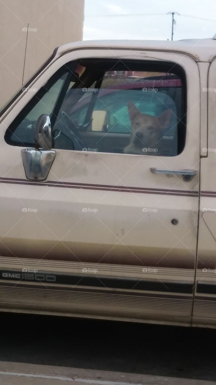 Ready to hit the road