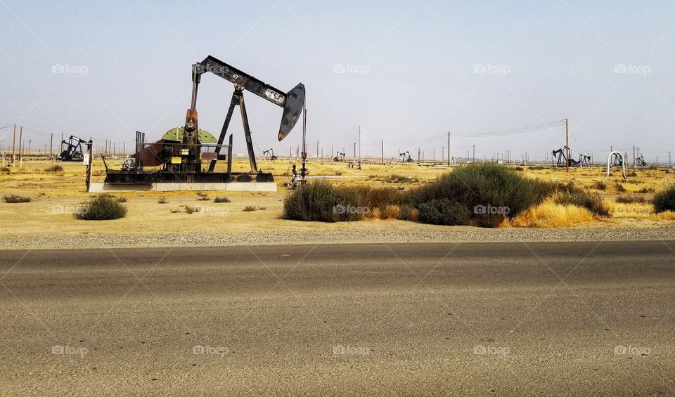 Oil Seeking