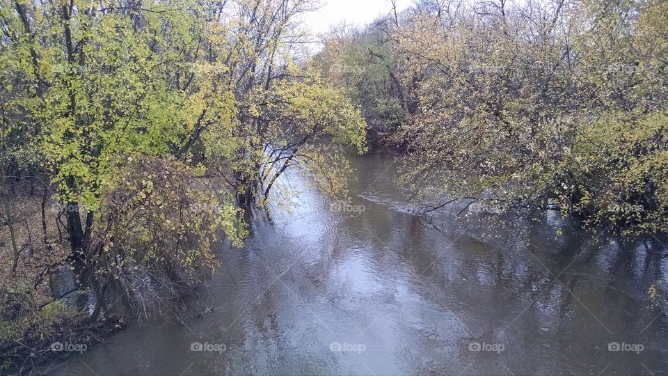 Landscape, Water, Nature, Tree, Wood