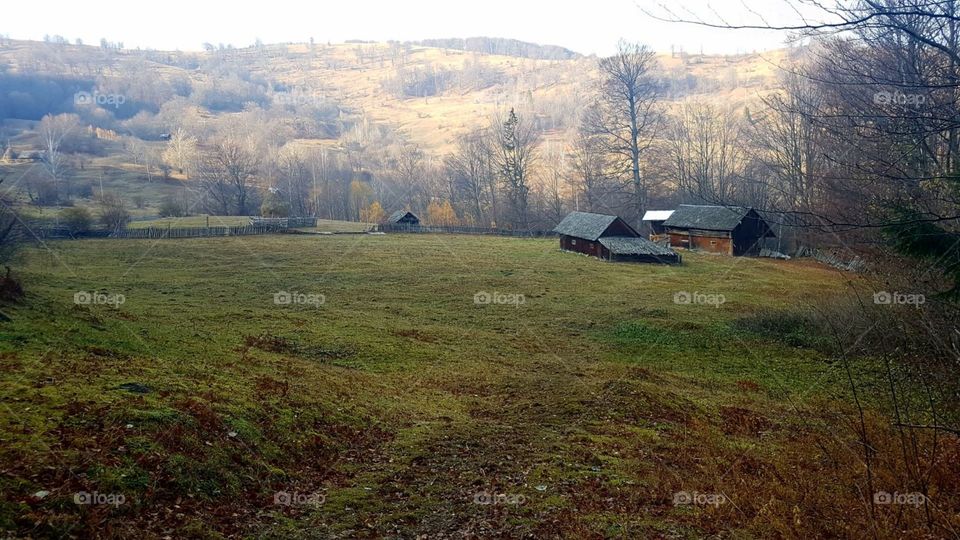 Landscape, No Person, House, Barn, Tree