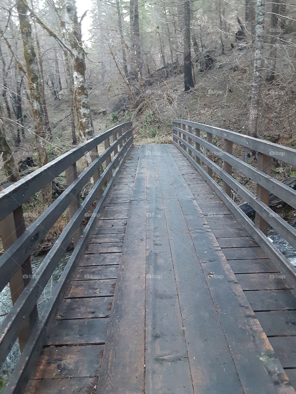 Trail Bridge