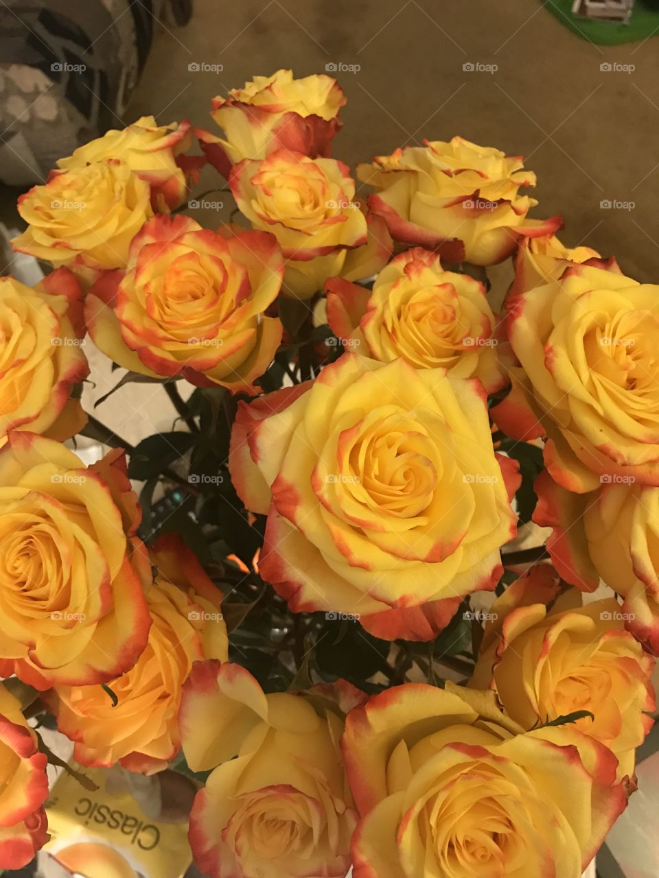 Beautiful flowers roses yellow and red huge 