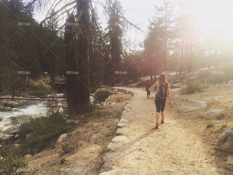 Hiking through sequoia national park 