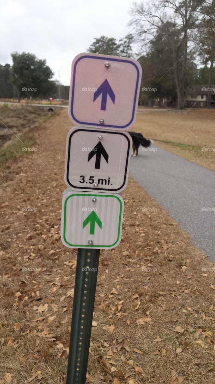 which way do I go