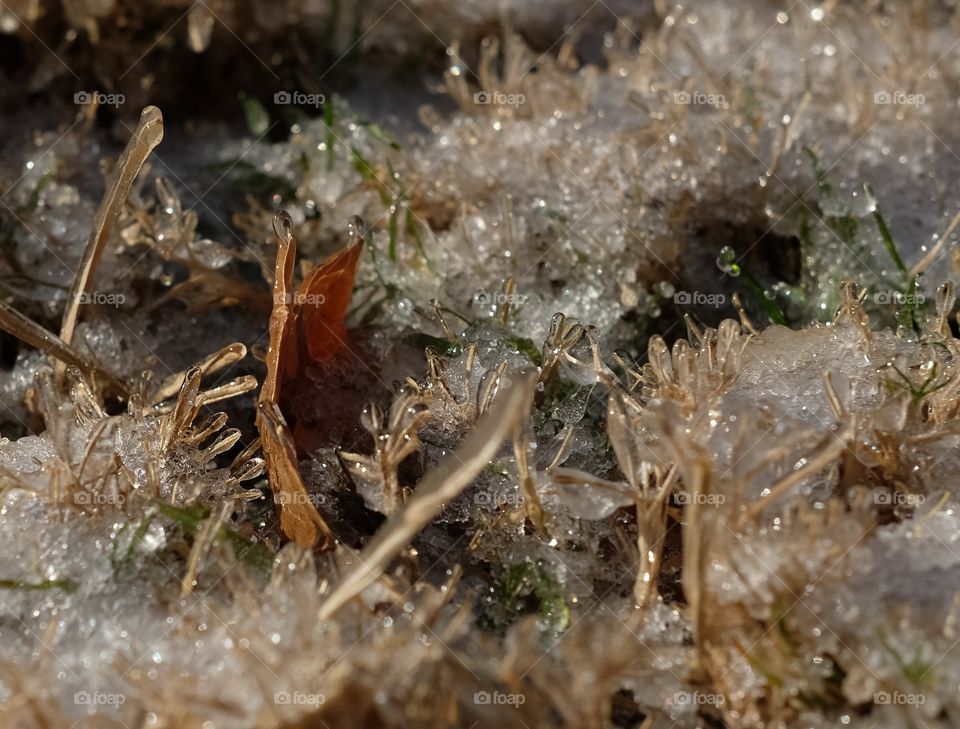 Big Freeze of 2017
This is all we get 