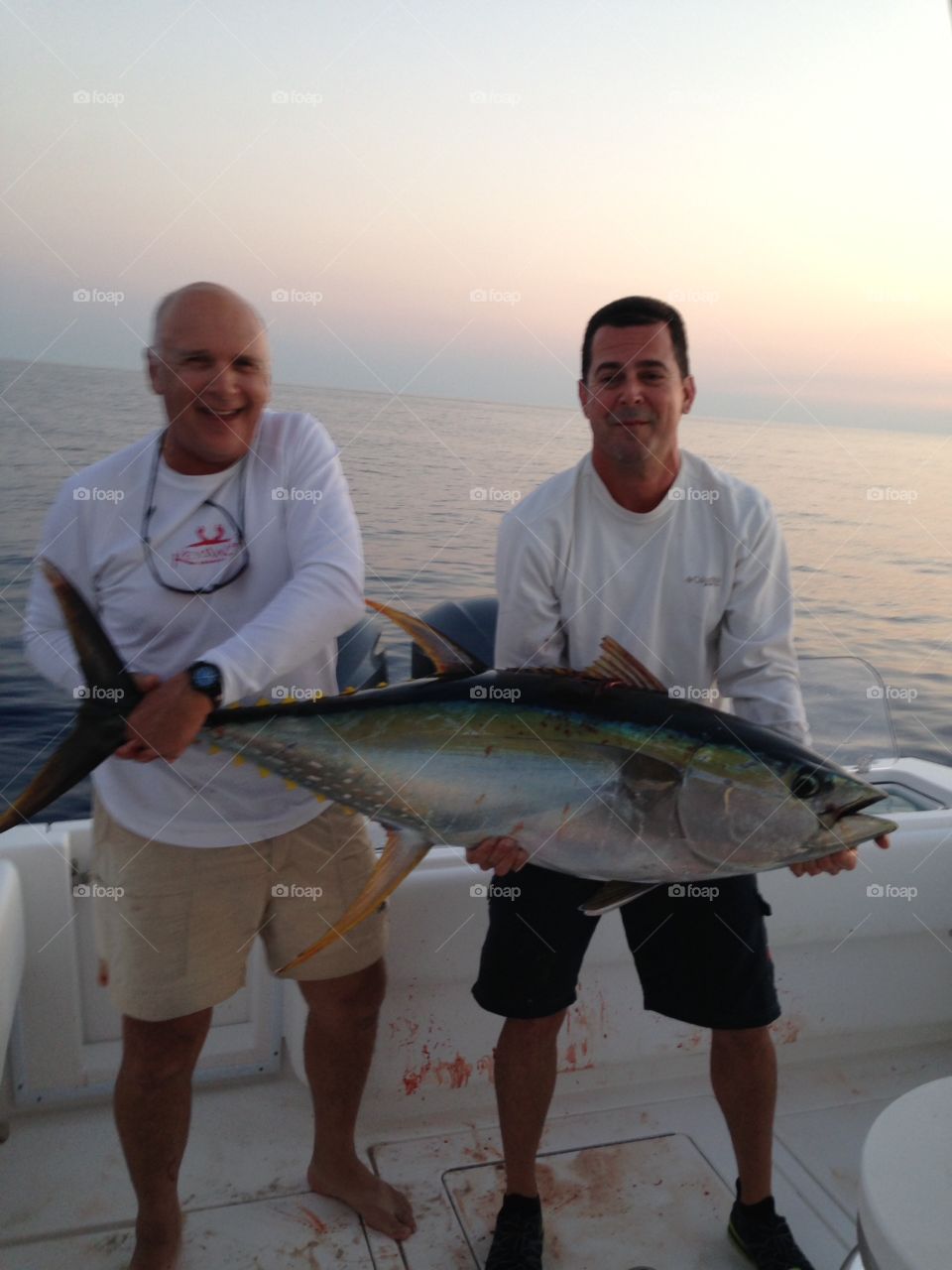 Yellowfin tuna 