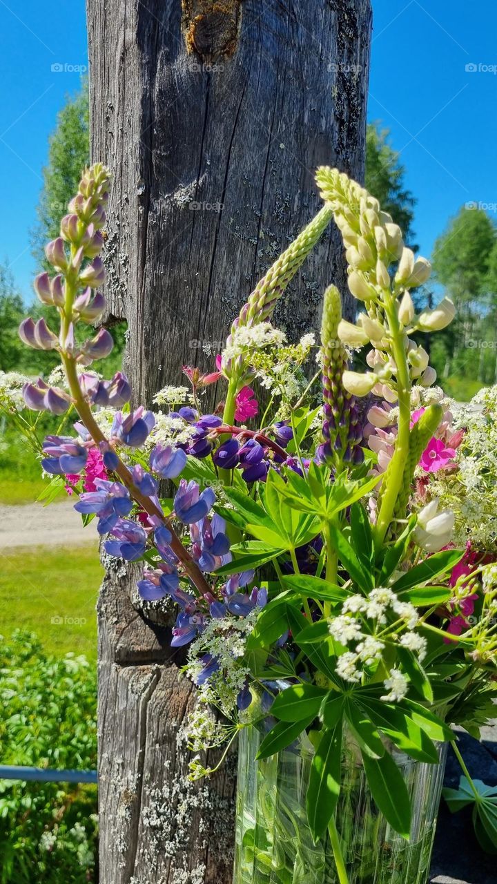 Beautiful summer flowers picked from Finnish nature in a vase.