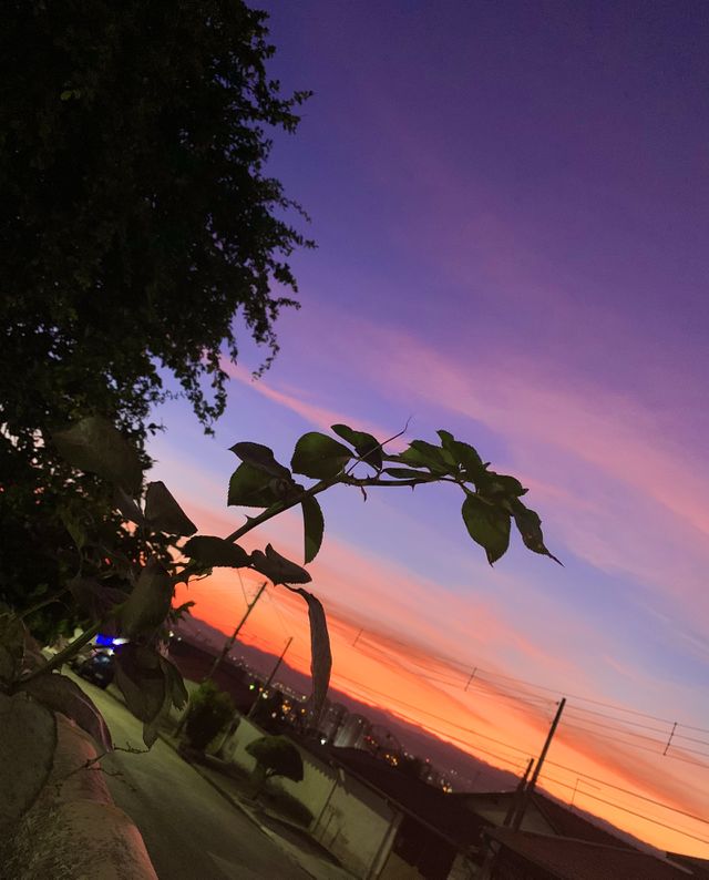 Brazil 