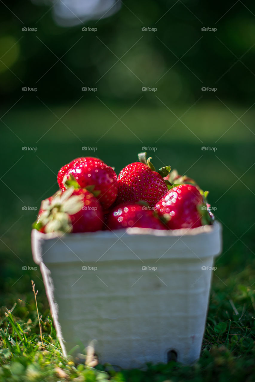 Close-up of strawberry in container