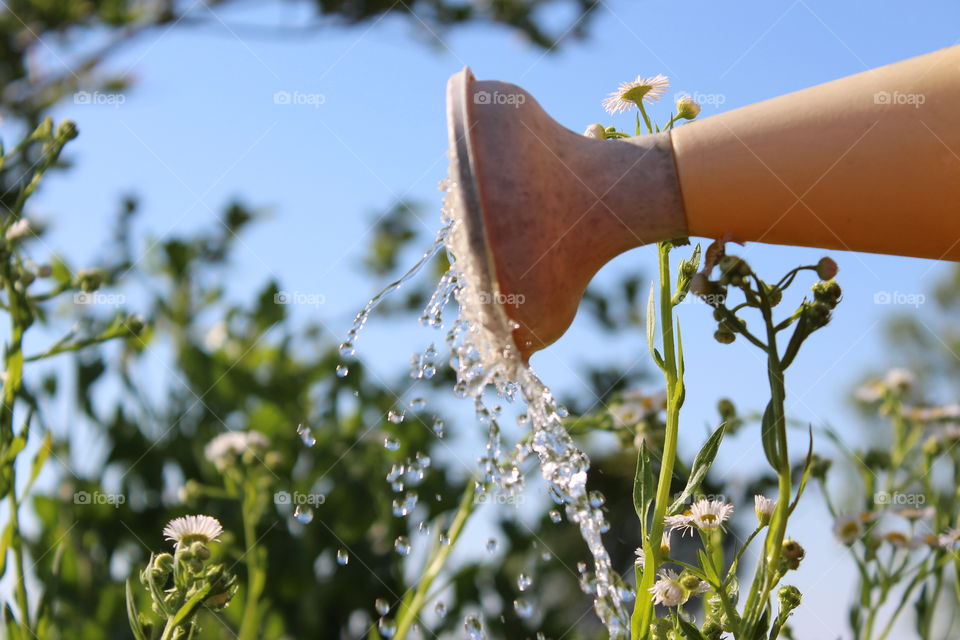 water coming from watering can