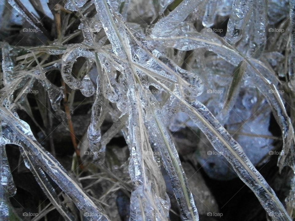 spring ice storm