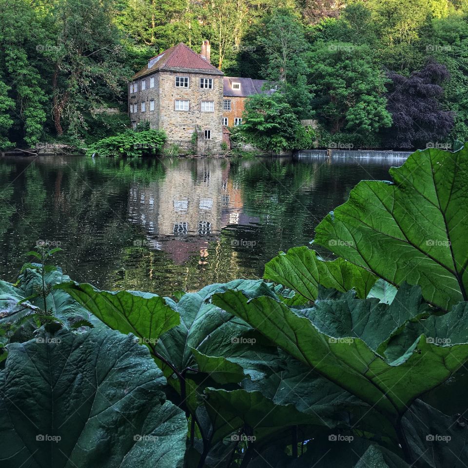 Durham riverbank views ... 