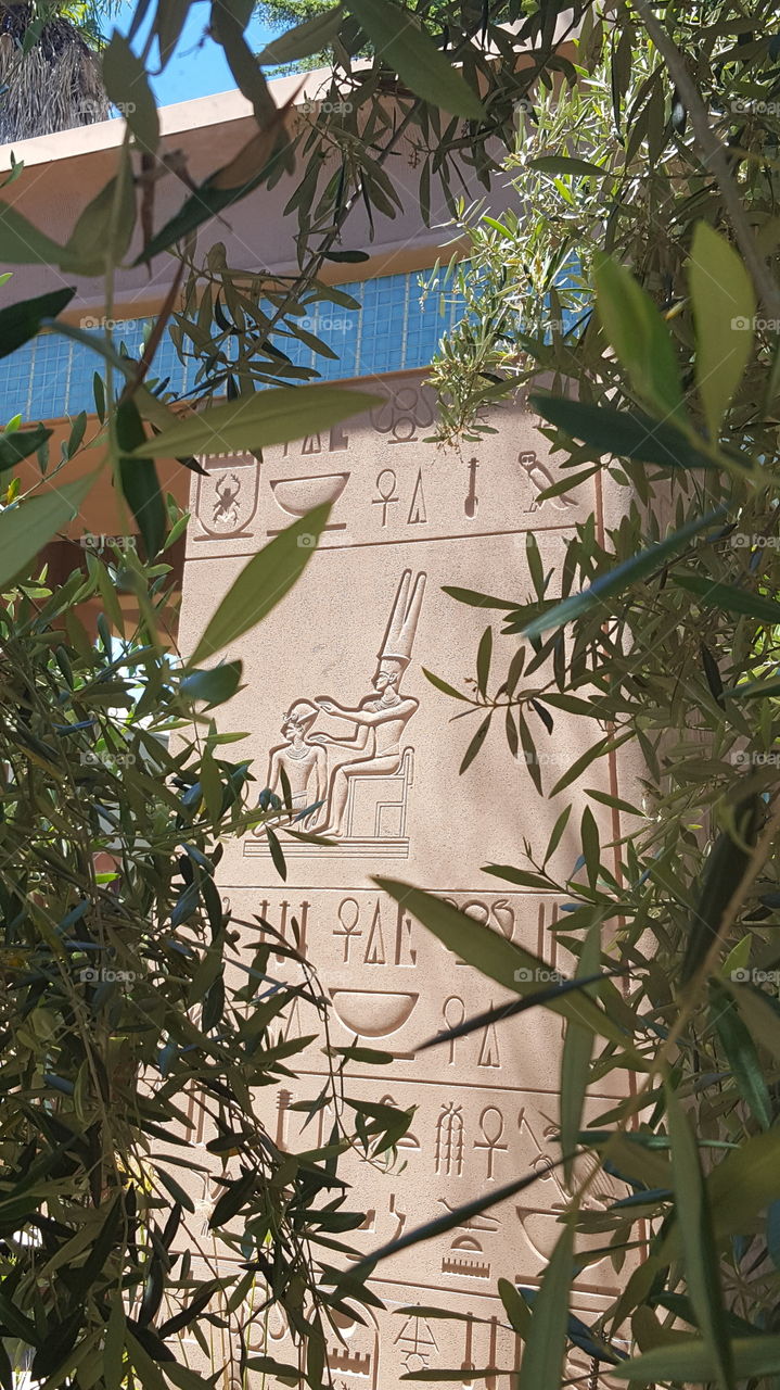 hieroglyphics decorating a column at the Egyptian museum in San Jose. The column is part of a temple used by the rosicrucian order.  I took the picture while walking a path on the grounds lined with palm trees and olive trees.