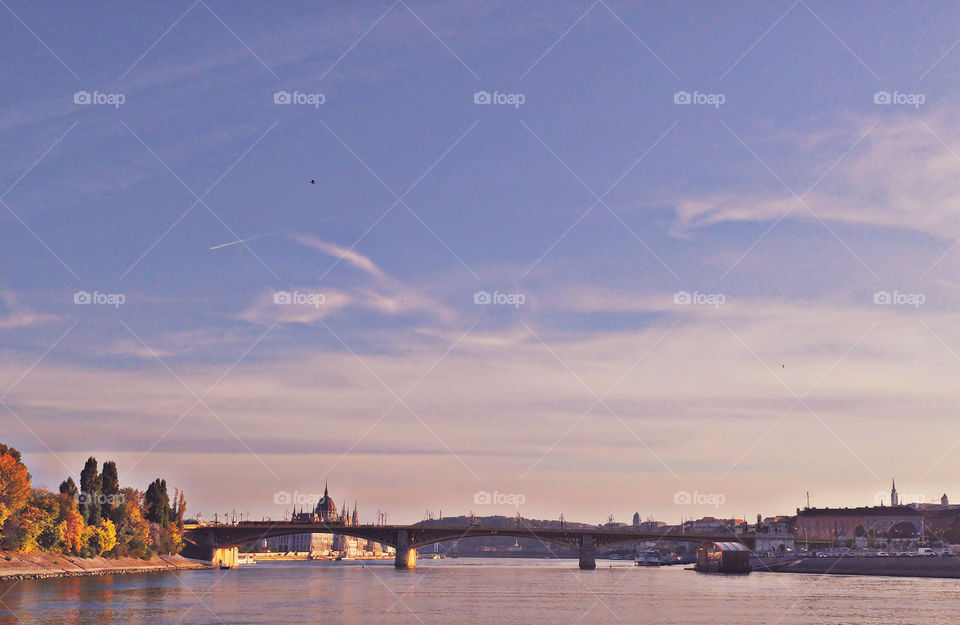 pink day-perfect day