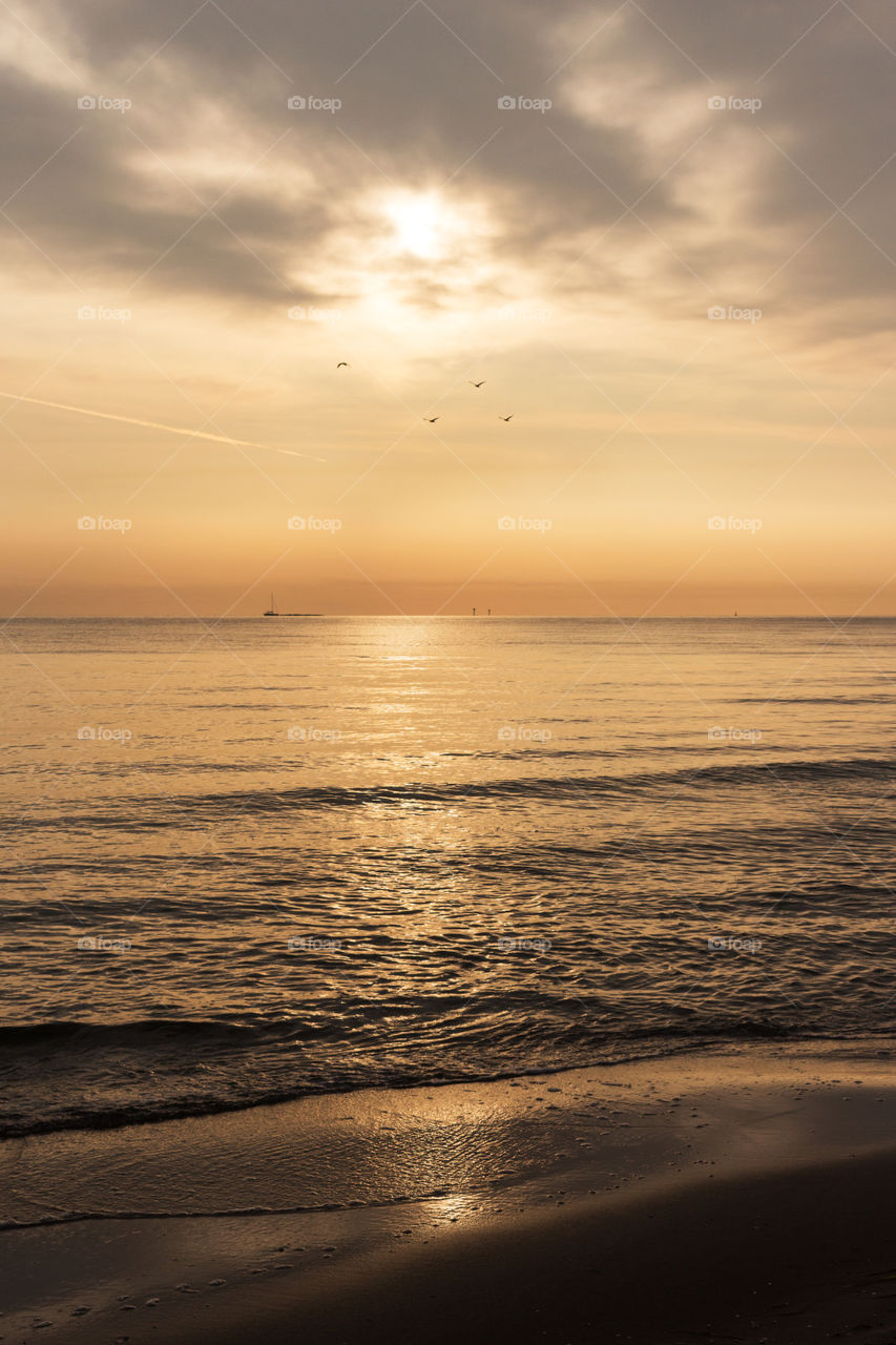 Summer Gdansk
🔅 💛 😻 2172019