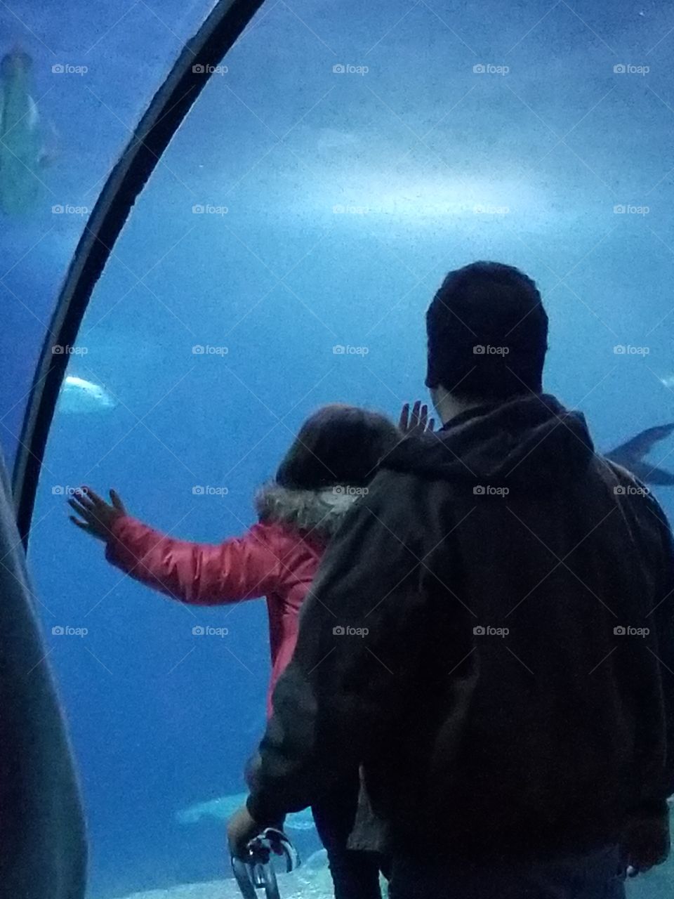 man and child at aquarium