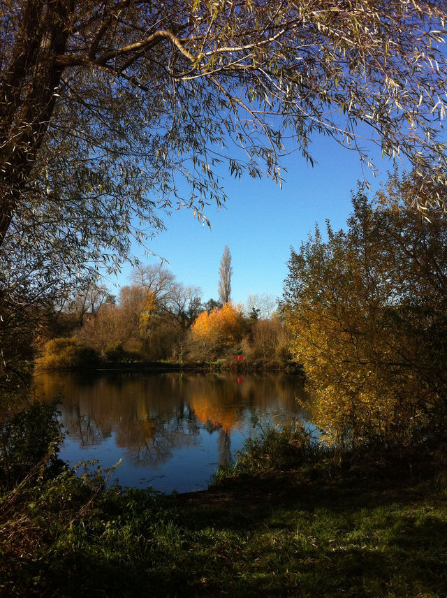 Autumn walk