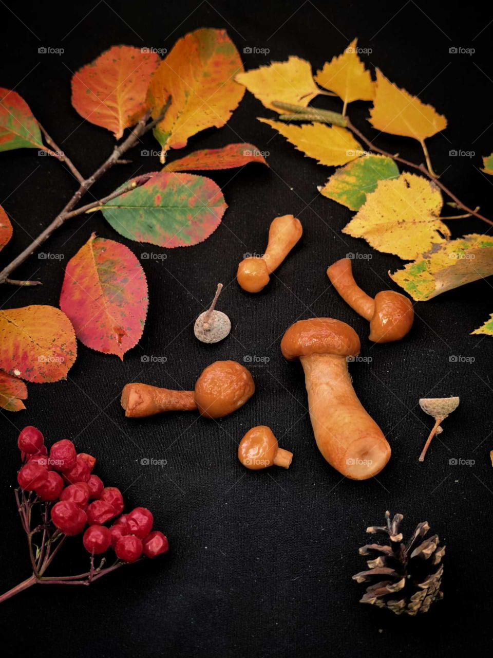 Autumn composition.  Branch with red leaves, branch with yellow leaves, orange mushrooms, red rowan berries, pine cone and acorn