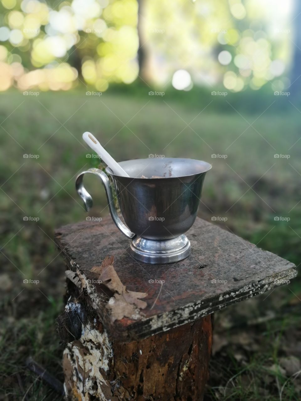 Summer ice cream, served on a stump in nature