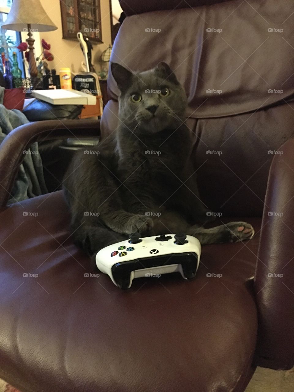 Mom 10 more minutes please?