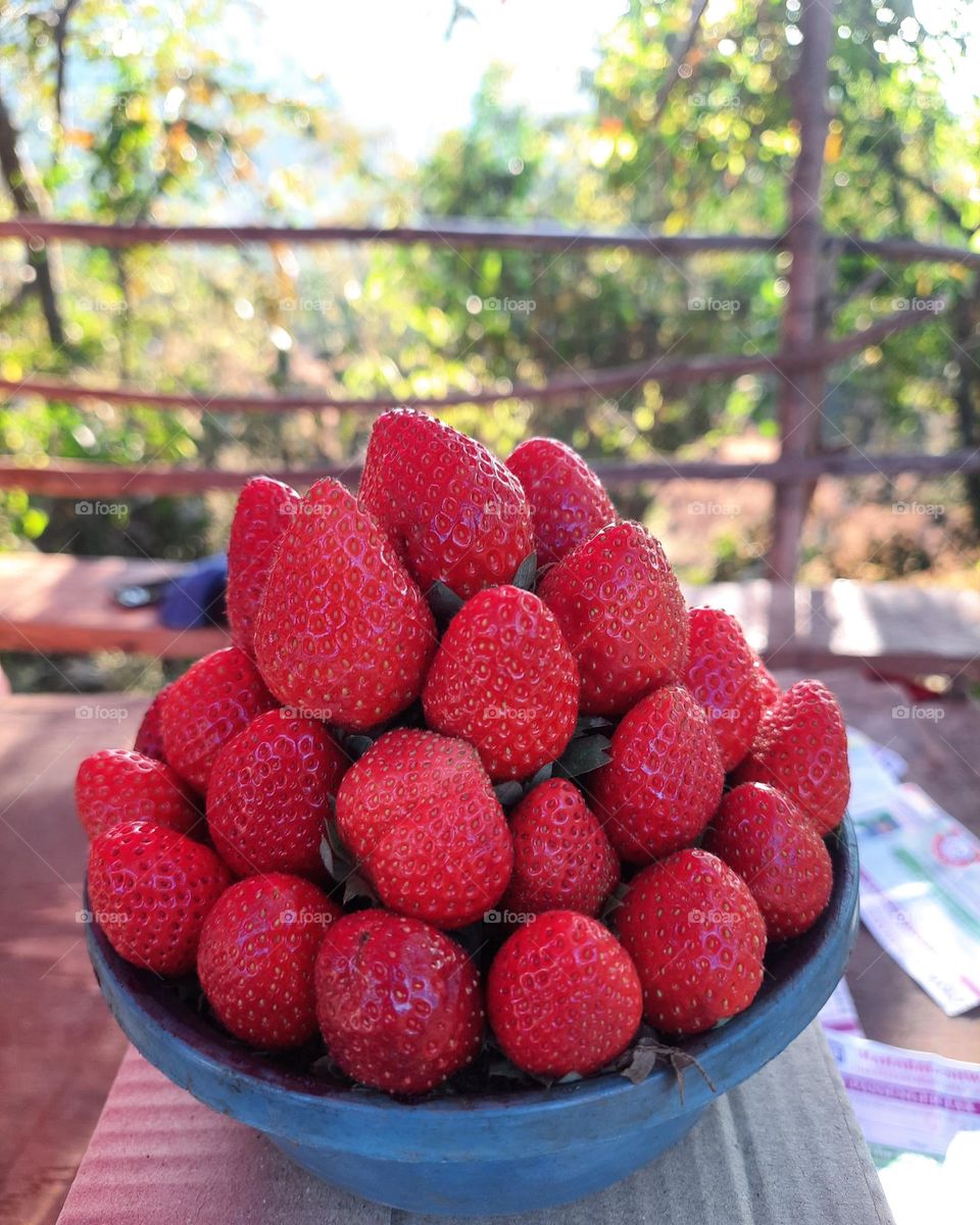 natural farm strawberries