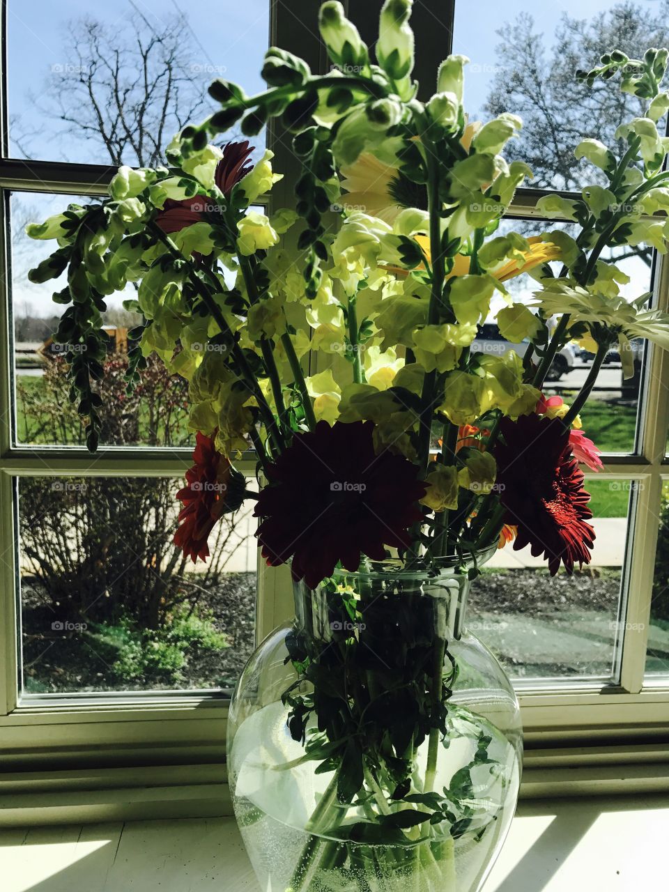 Spring arrangement 