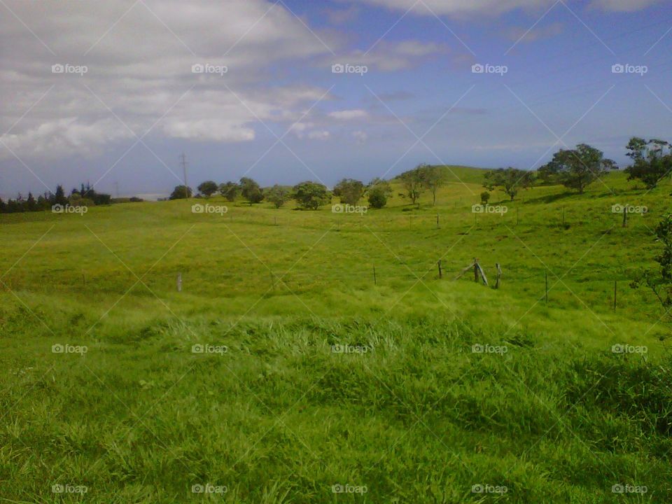 Lovely Green Pasture. Visiting my grandmas workplace in Hawaii