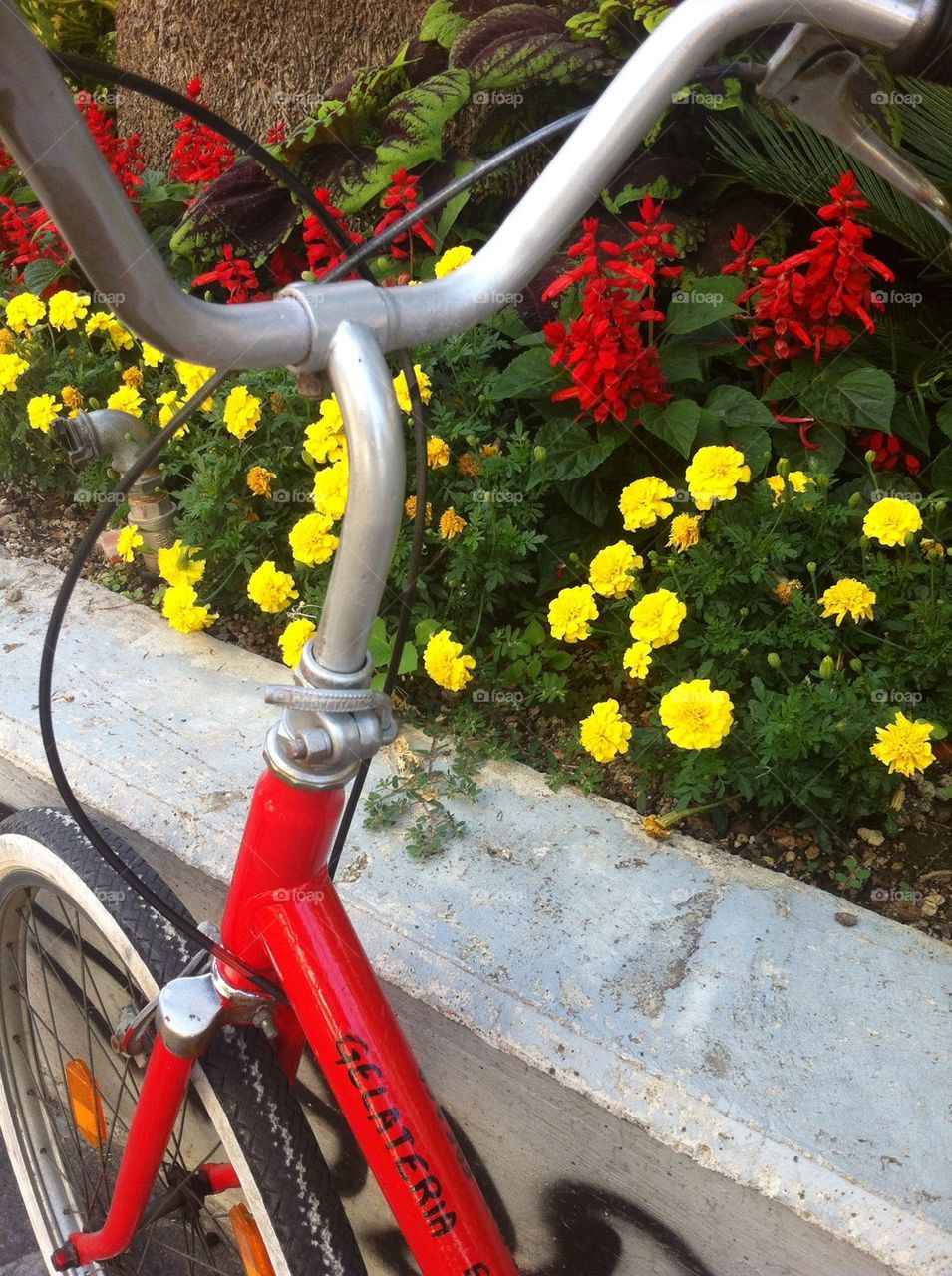 Bike of the ice cream store