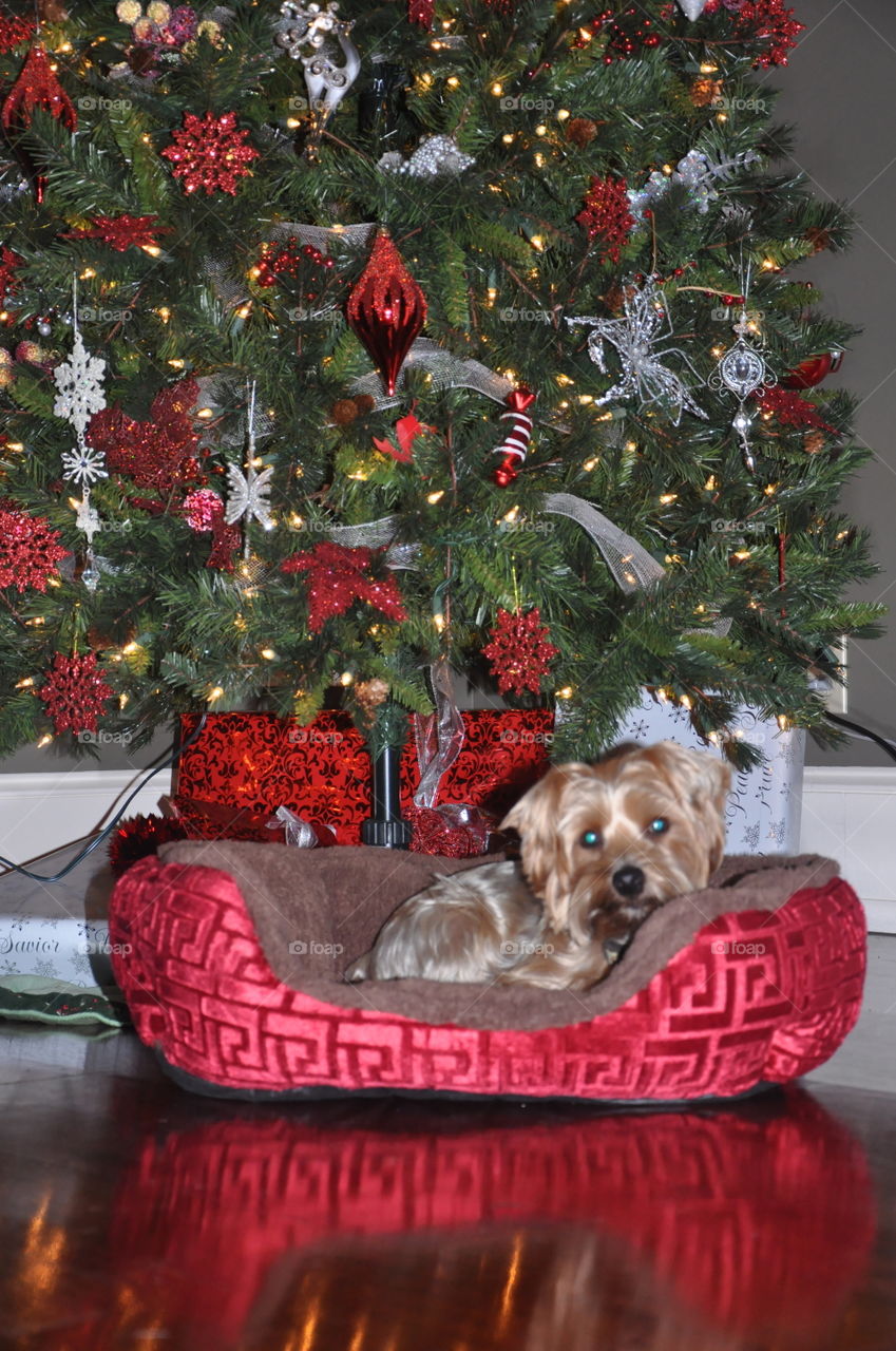 Drake waiting for Santa