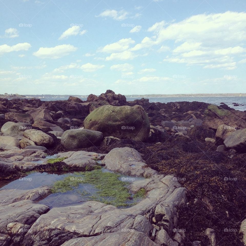 Tide pool