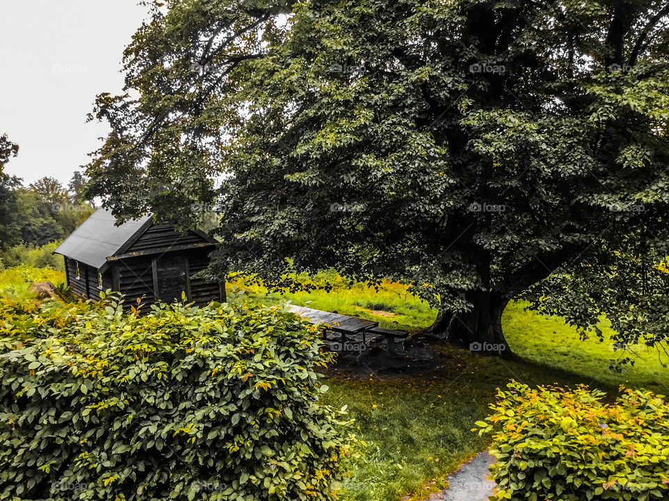 Since u love autumn 🍂