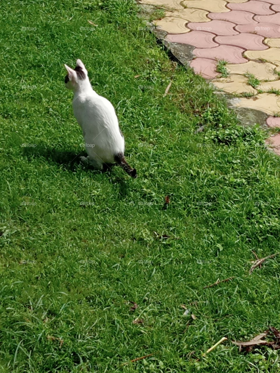 Looking for a playmate 😍