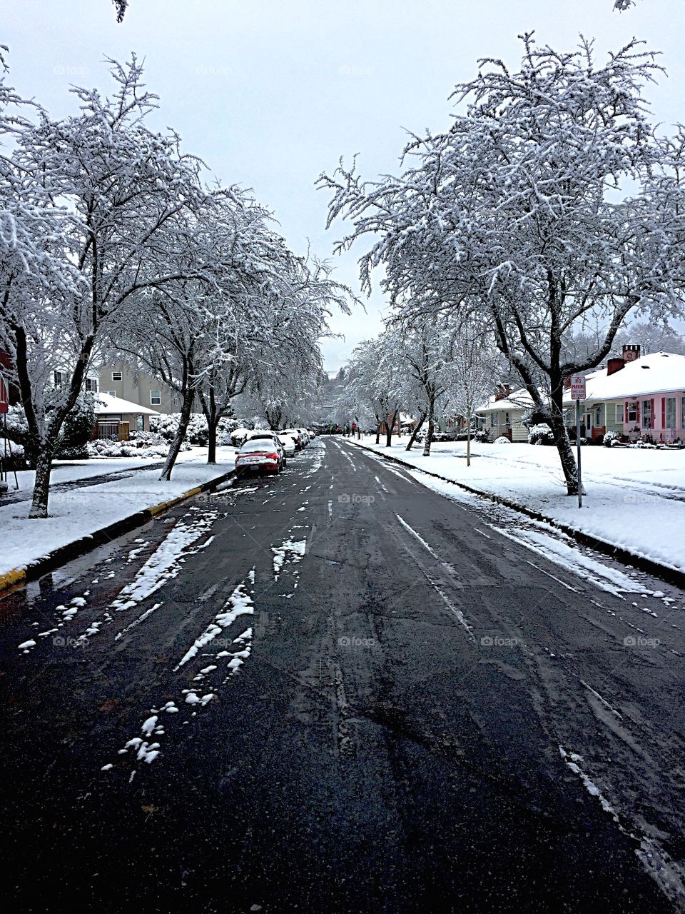Winter, Snow, Road, Cold, Frost