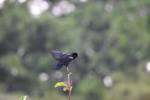 Beauty in nature