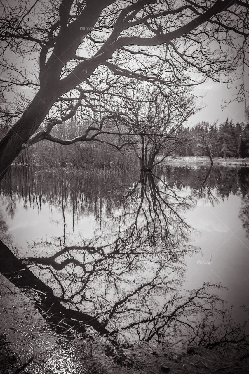 Black and white reflection